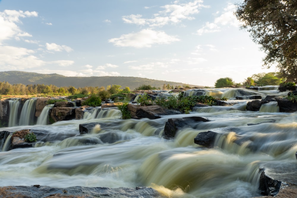 a river with rocks and trees