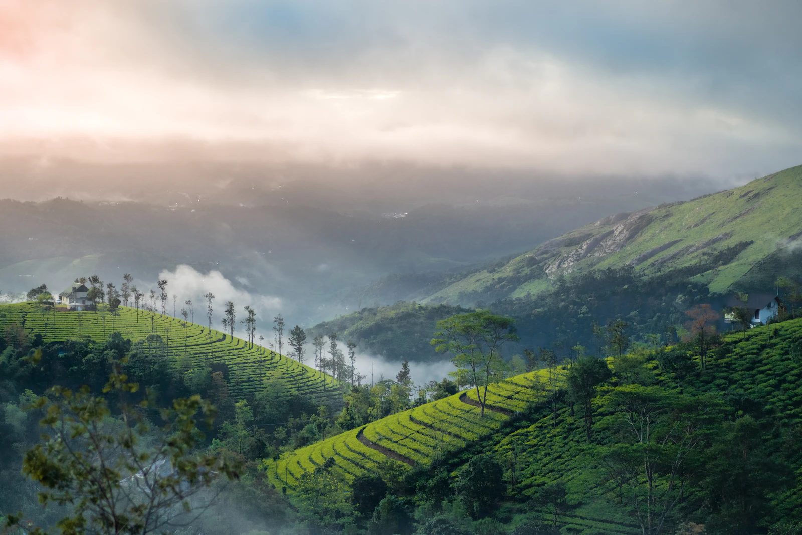 Vagamon & the Kerala hills, Kerala