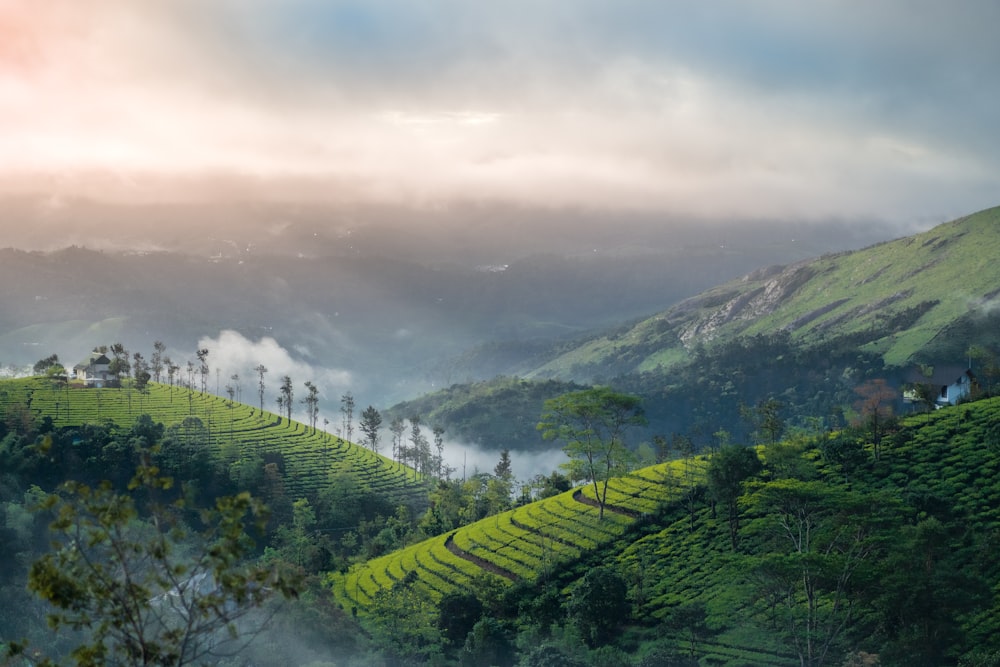 a landscape with hills and trees