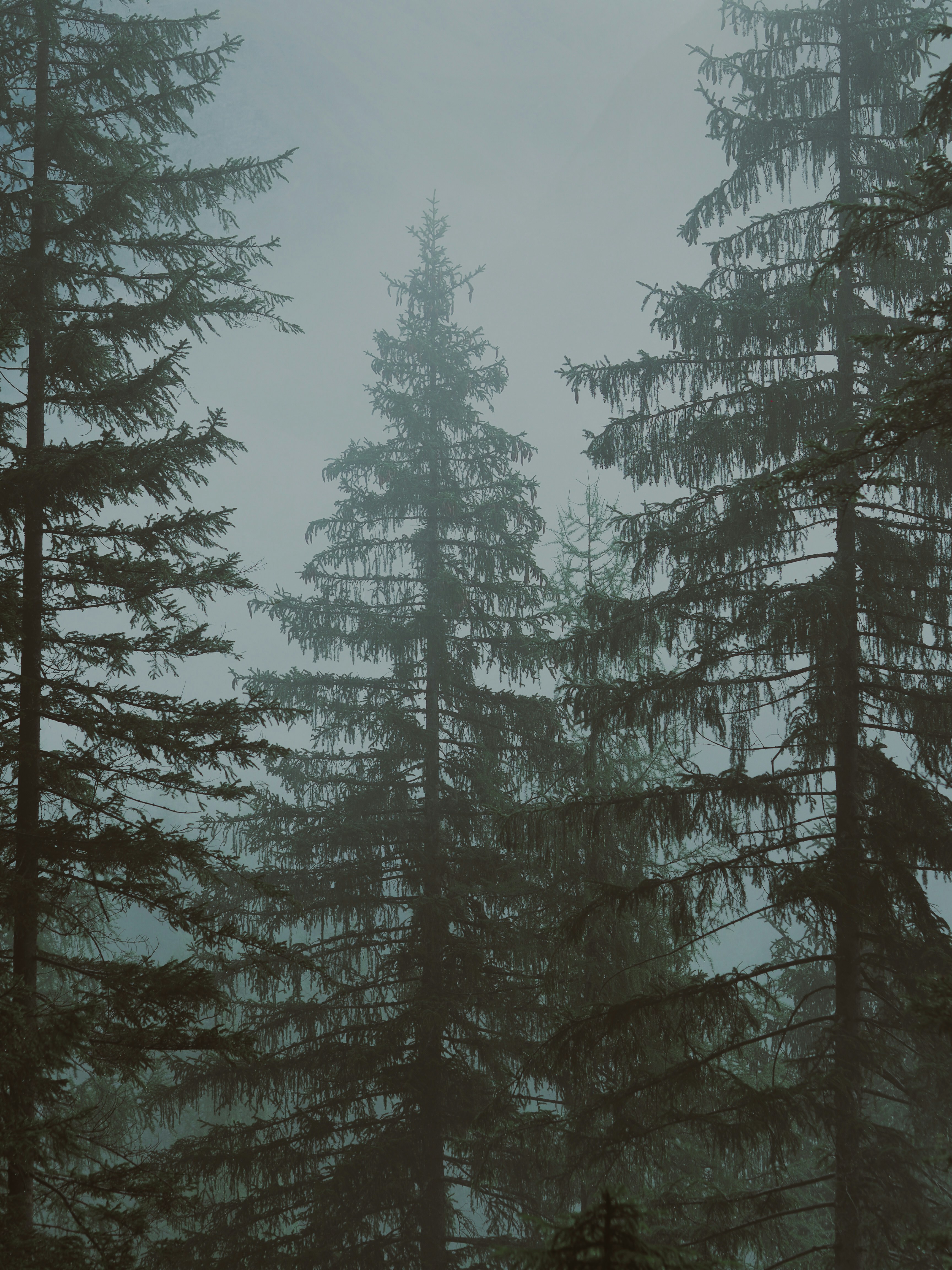 Photo by laurachouette