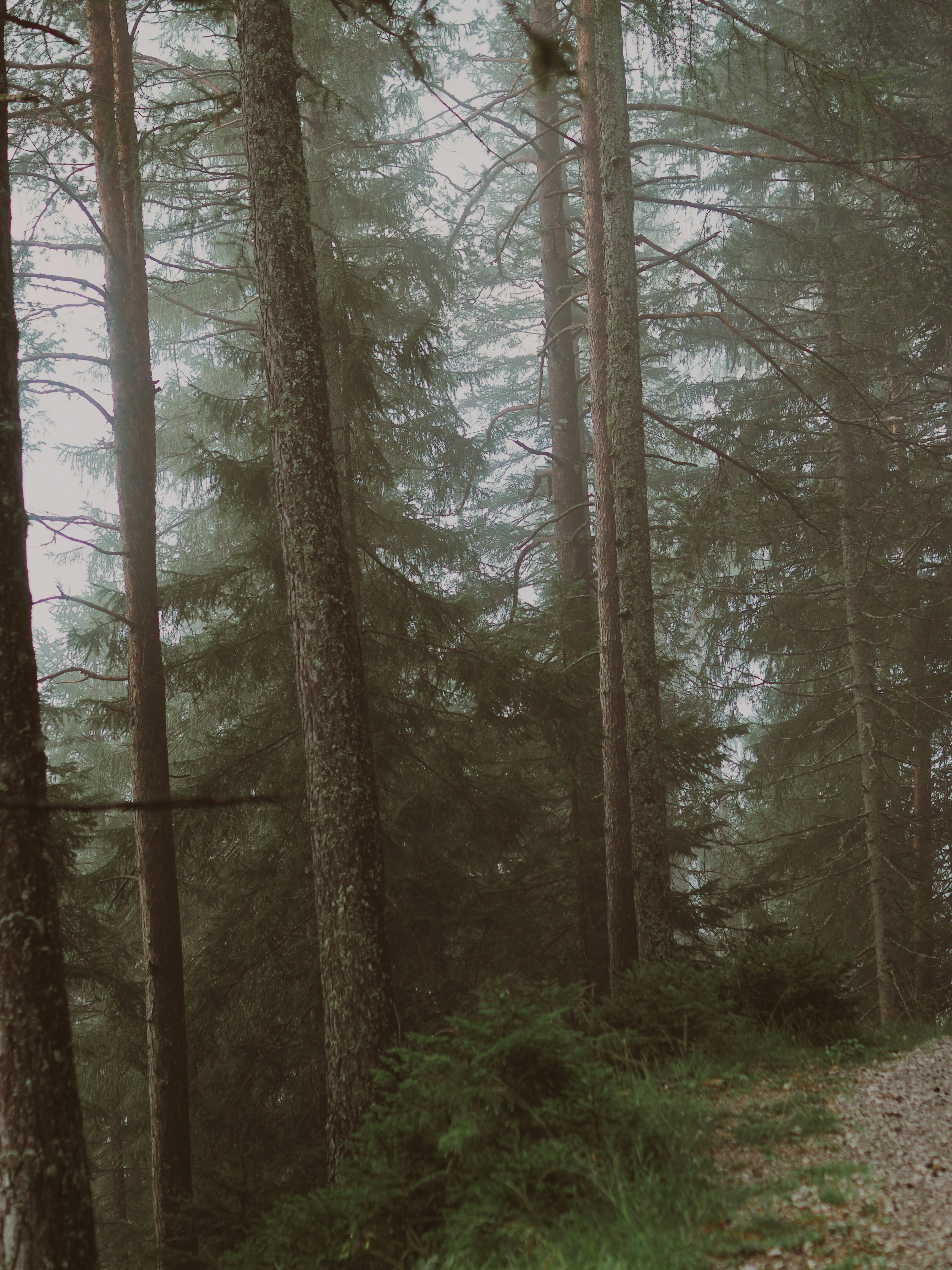 Photo by laurachouette