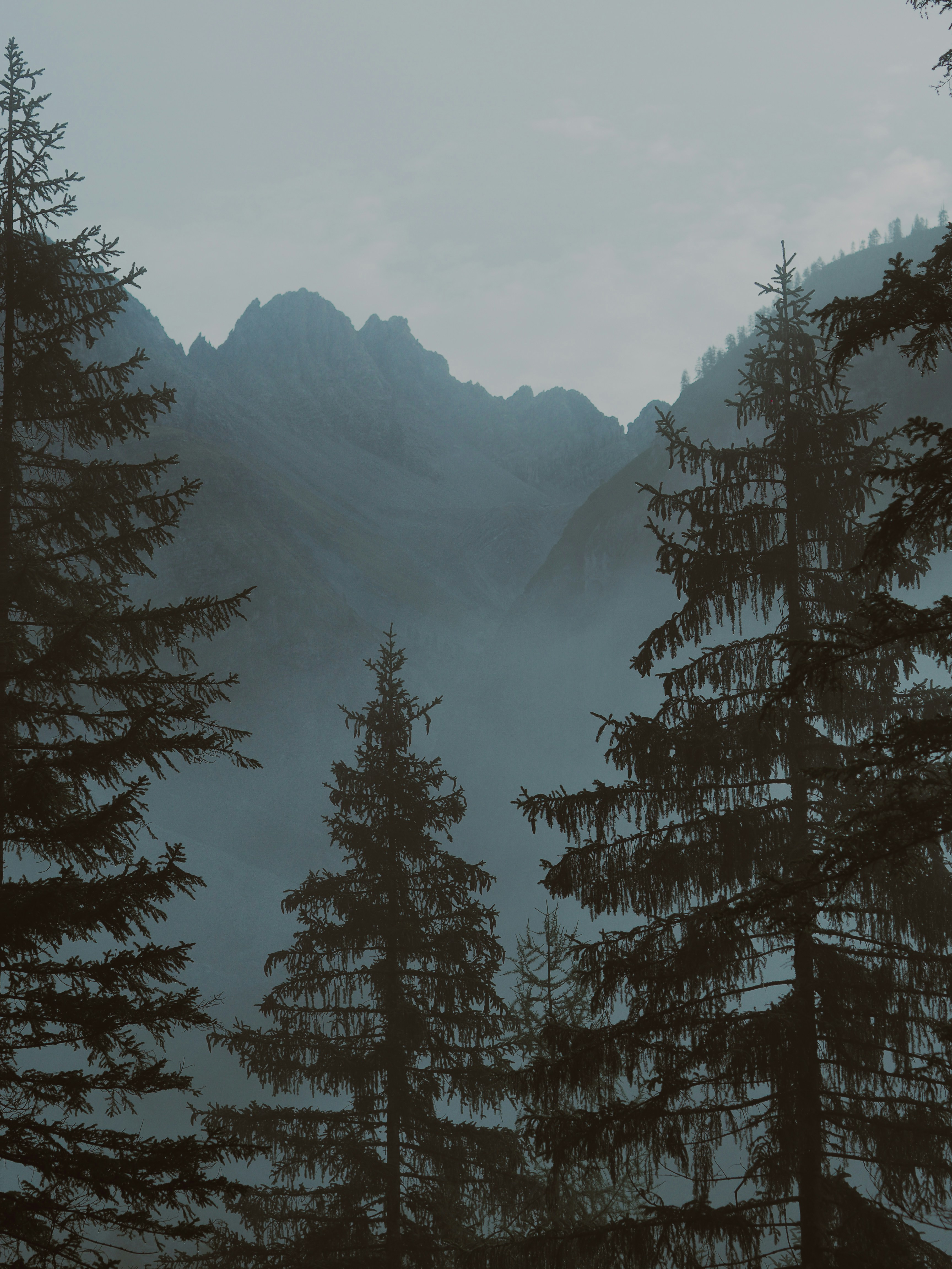 Photo by laurachouette