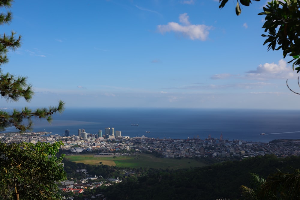 a city with a body of water in the background