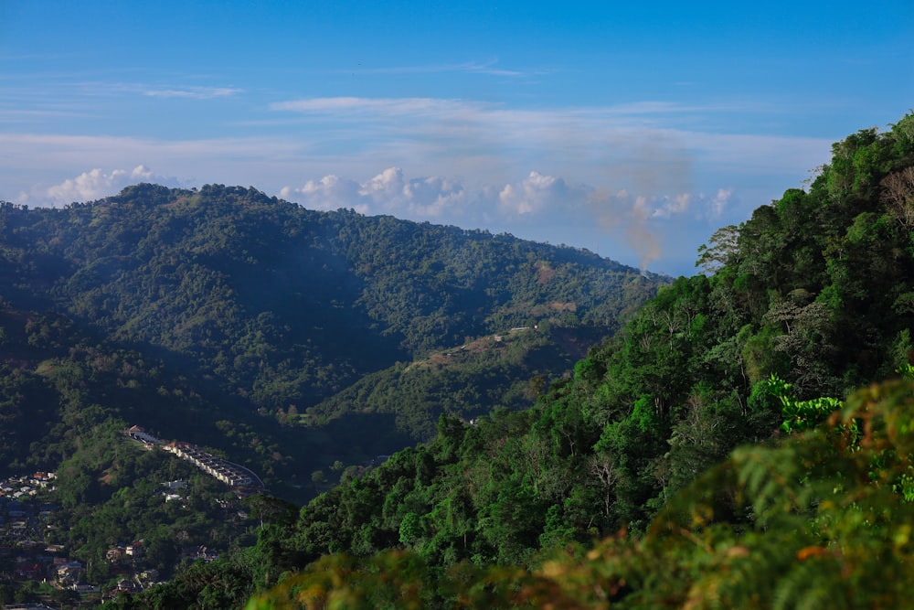 a valley with trees and mountains in the background