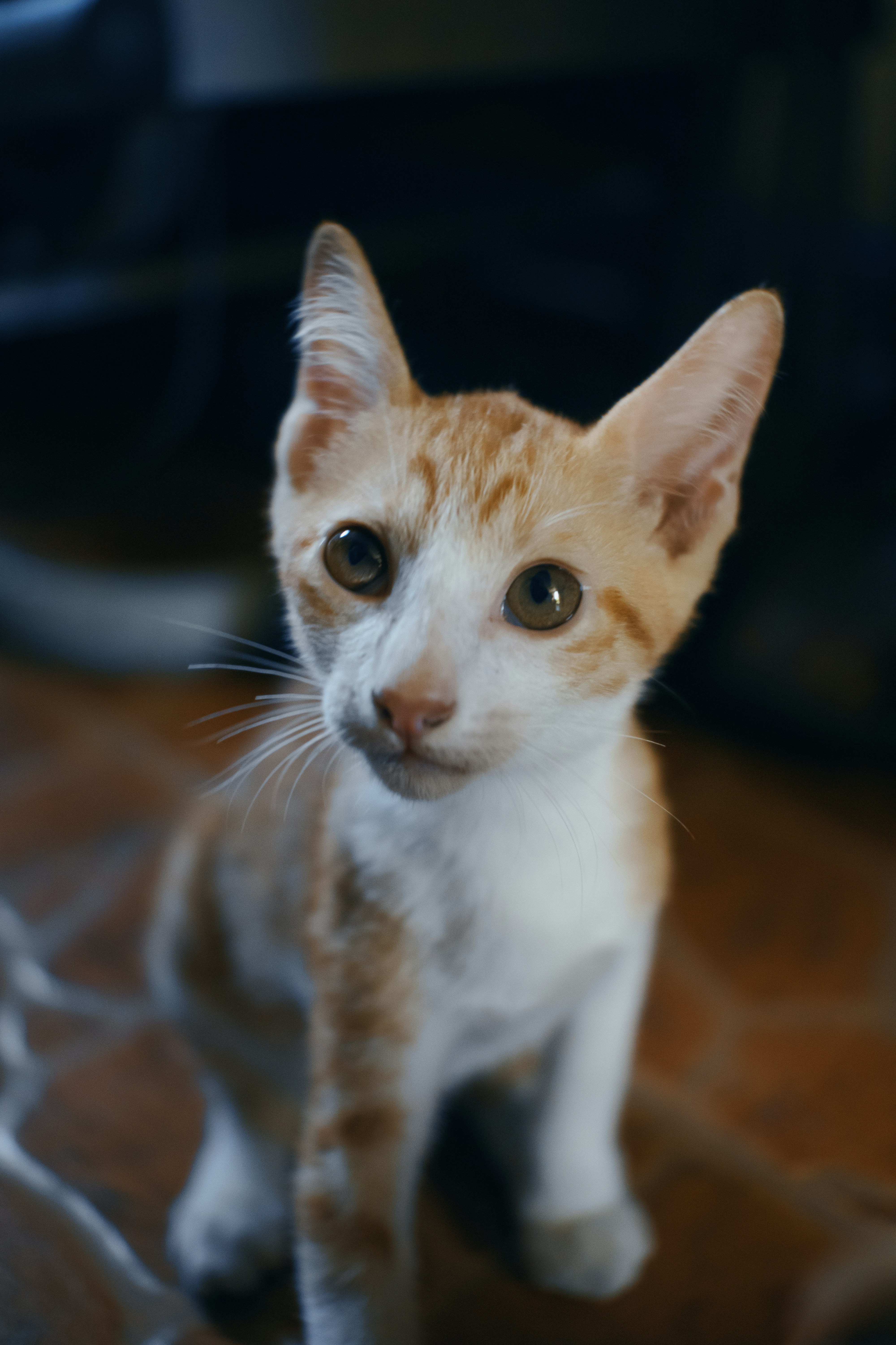 Photo by roadahead_2223