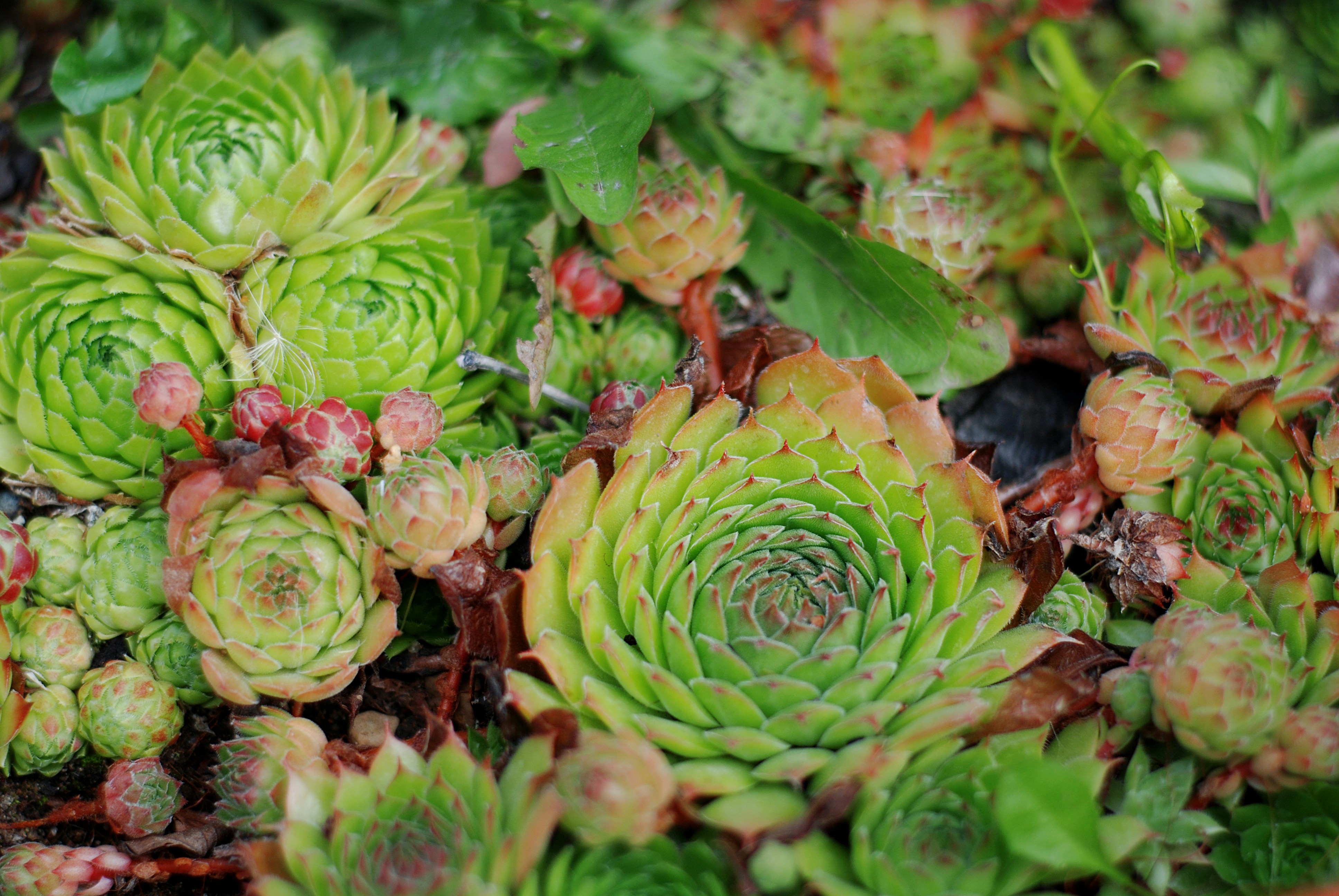 Photo by kovalskihelga