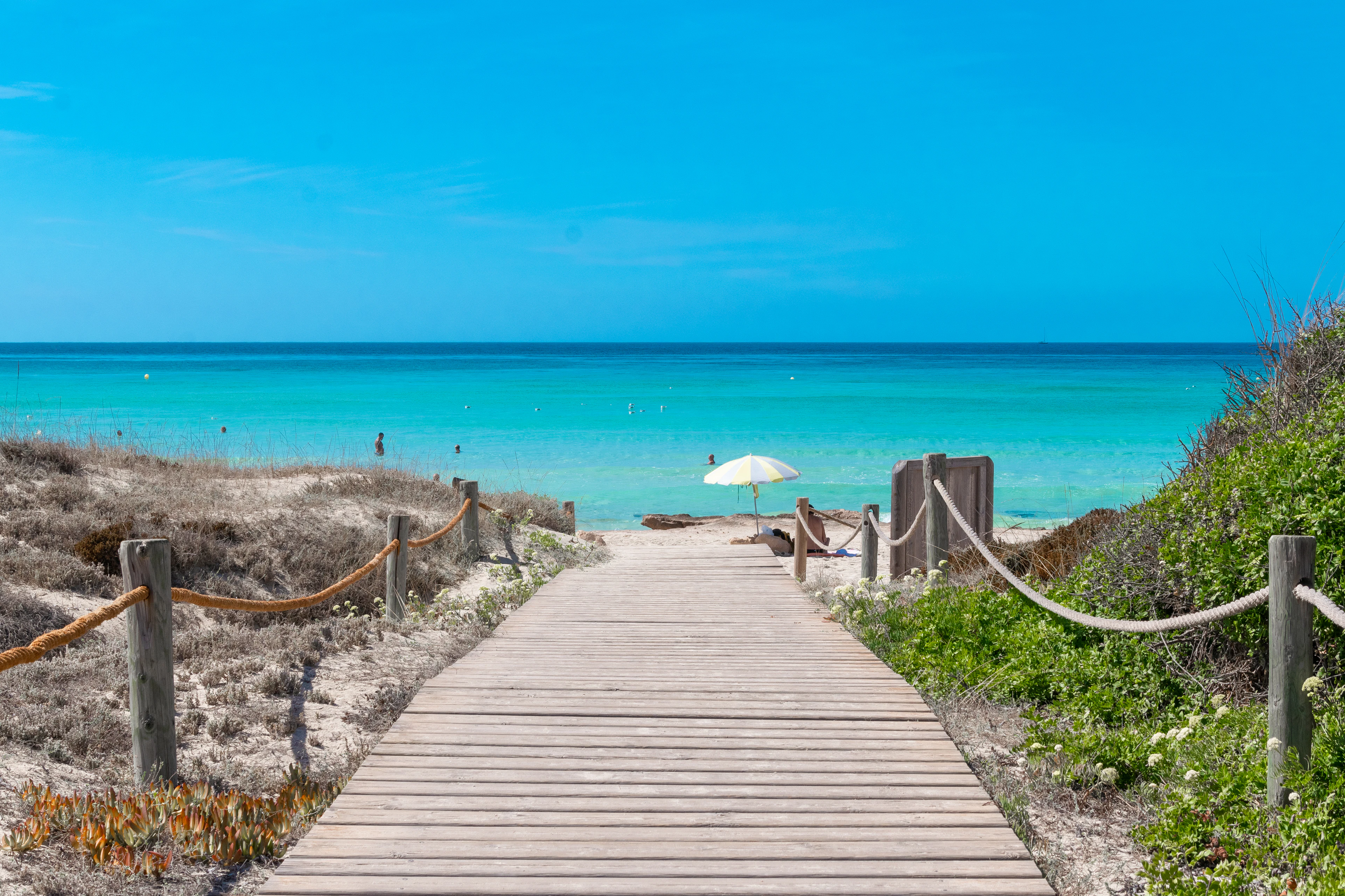 A wooden boardwalk running through low dunes to the pale sand and luminous turquoise shallows of Platja des Arenals on Formentera, a single white parasol open on the empty beach.