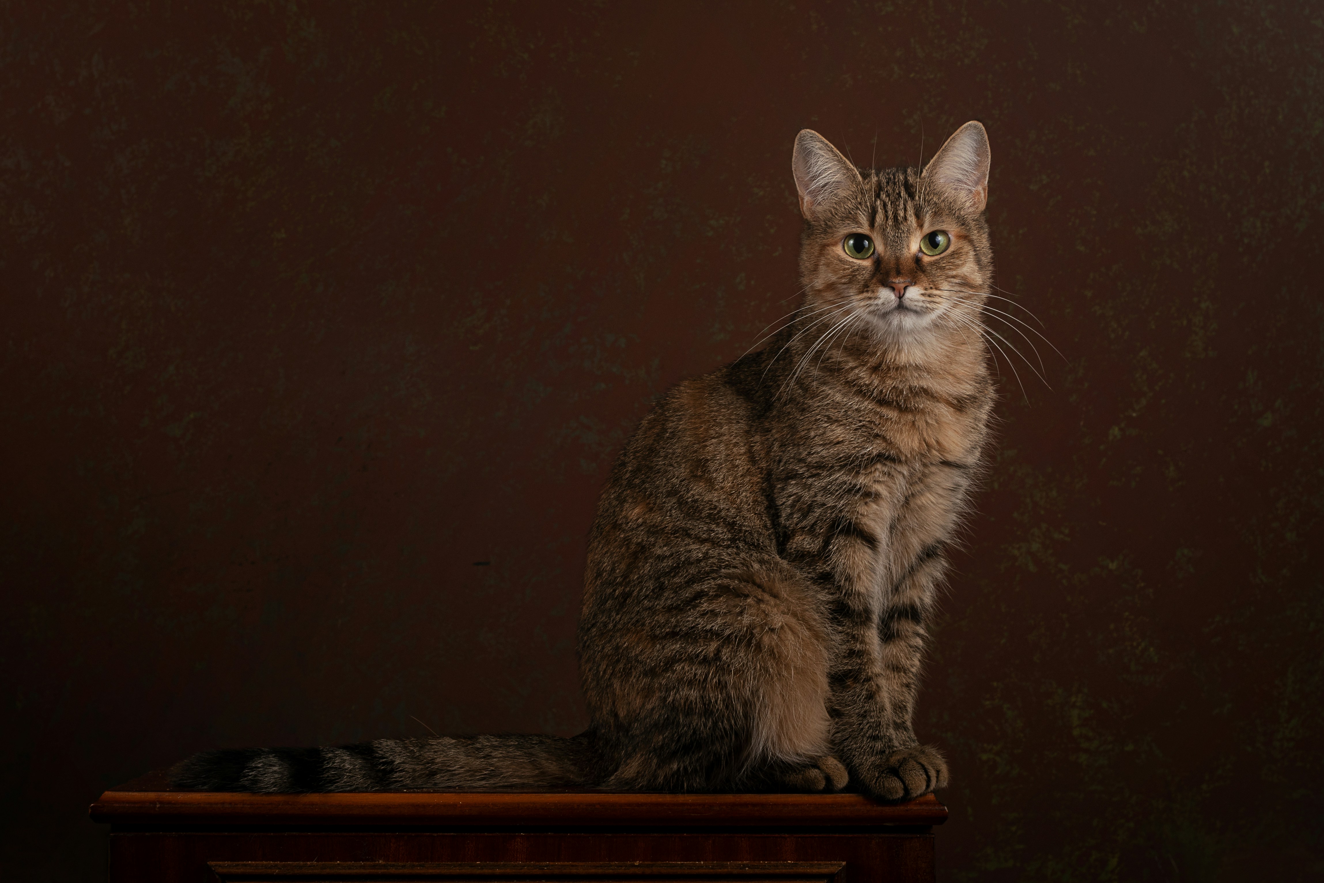 Photo by ottoshtekker