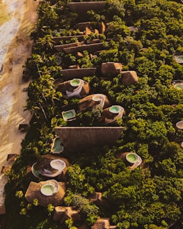 Aerial view of luxury beachfront villas surrounded by lush greenery and palm trees. The villas have unique thatched roofing and private circular pools. The sandy beach and ocean are visible on the left side.