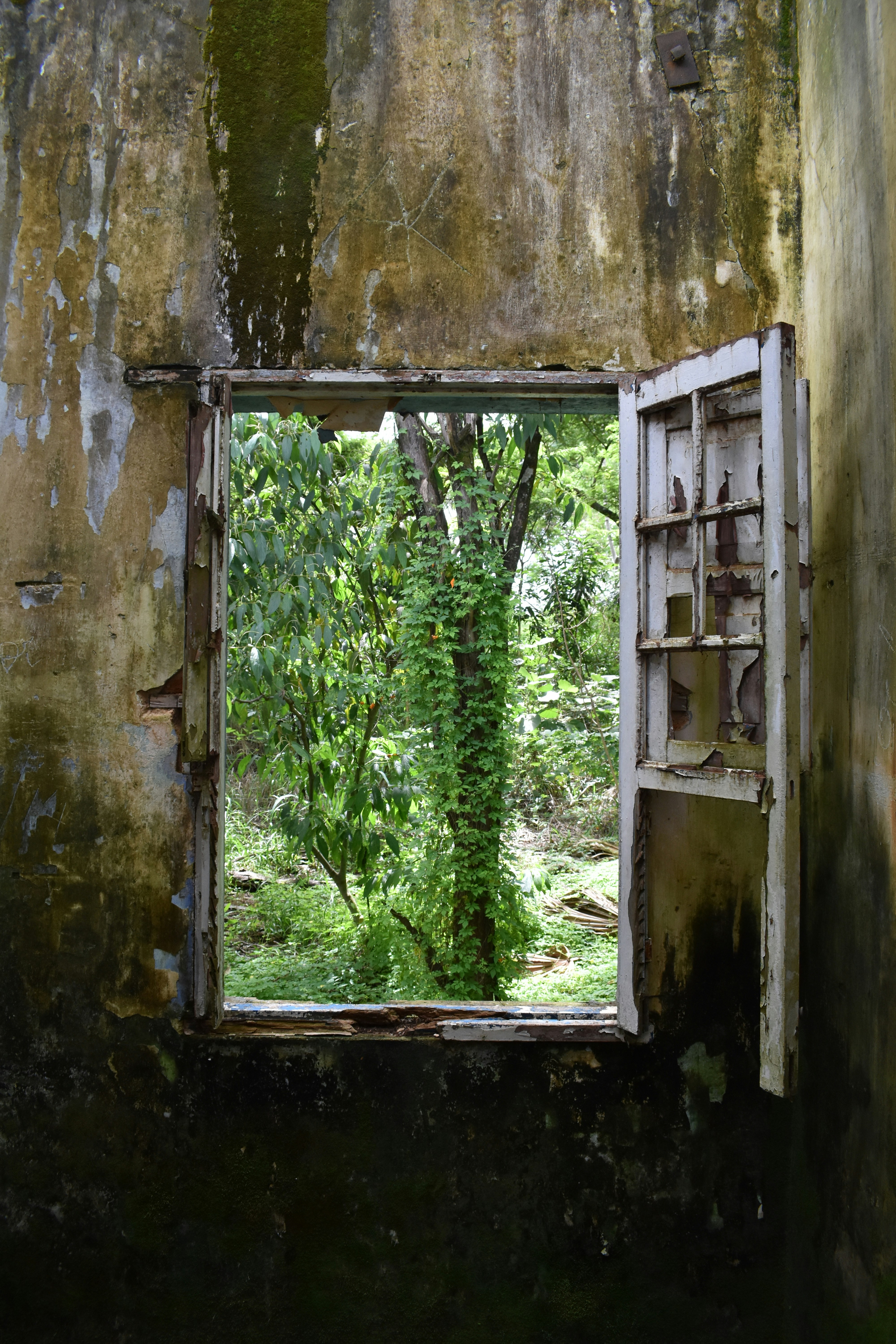 Photo by matheus_oliveira