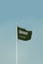 a flag on a pole