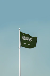 a flag on a pole