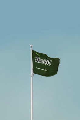 a flag on a pole