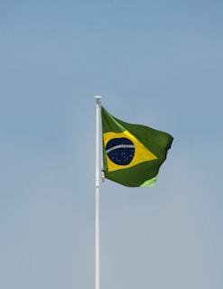 a flag on a pole