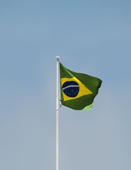 a flag on a pole
