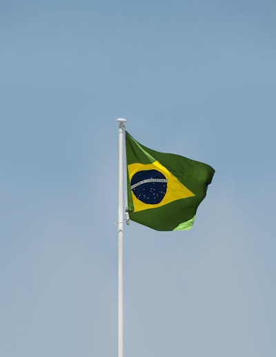 a flag on a pole