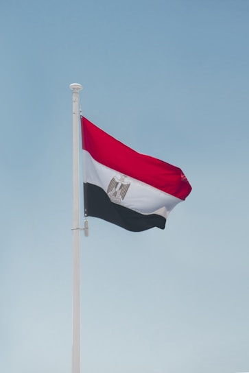 a flag on a pole