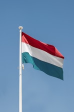 a flag on a pole