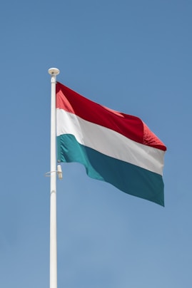 a flag on a pole