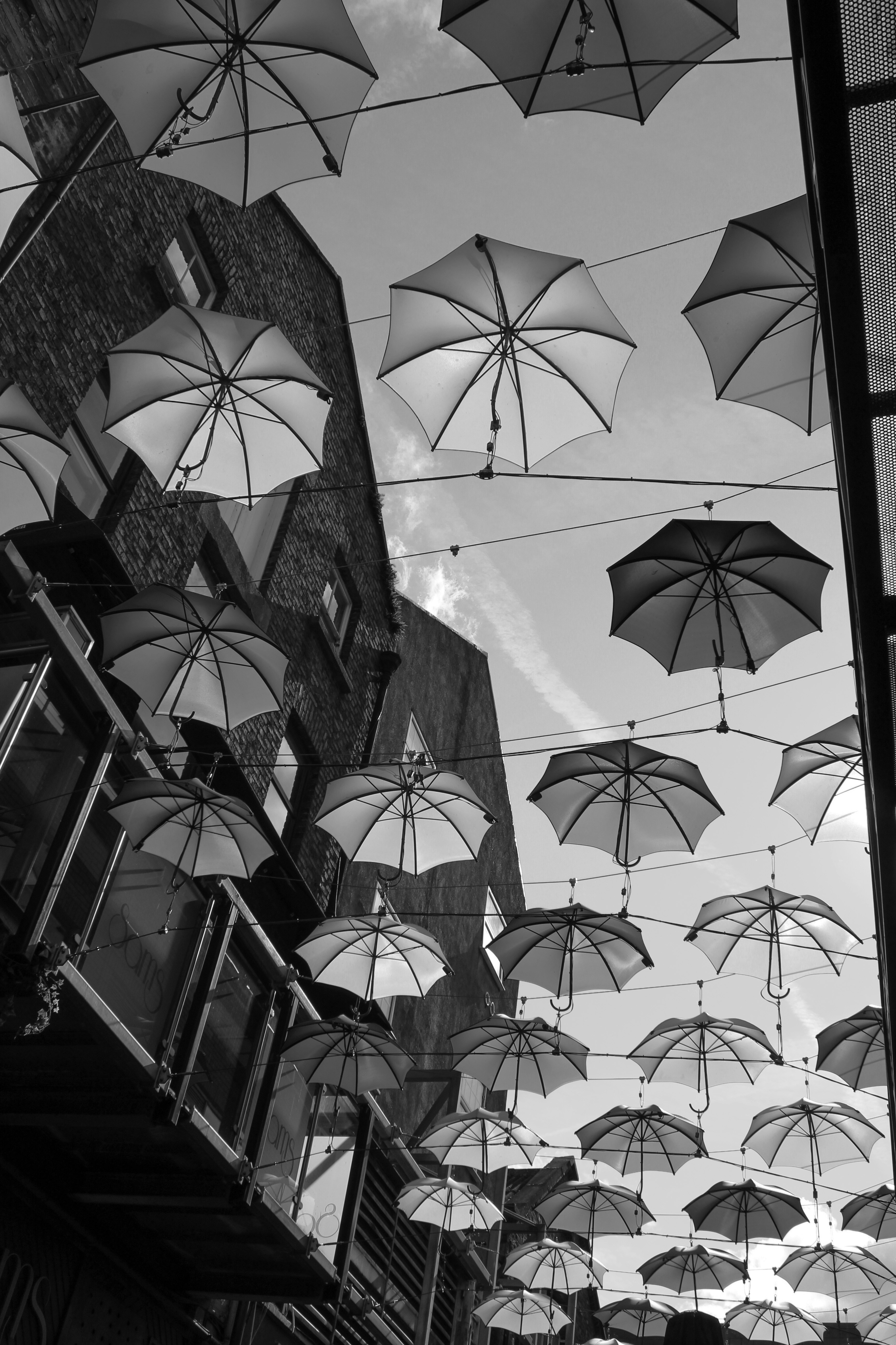 rainy Dublin