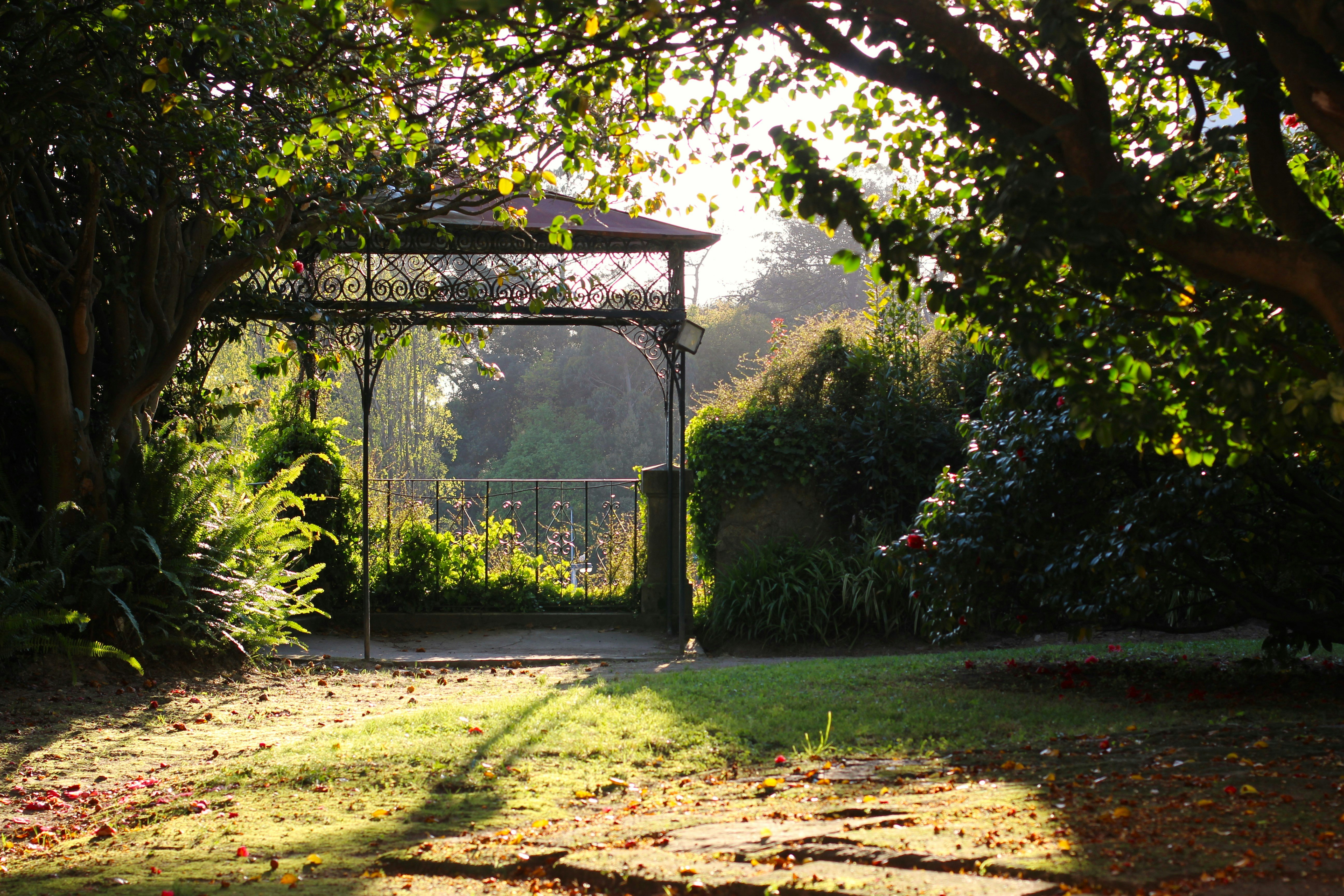 a gate in a park, A view of the gazebo in the Carlos Ramos gardens in FAUP.
