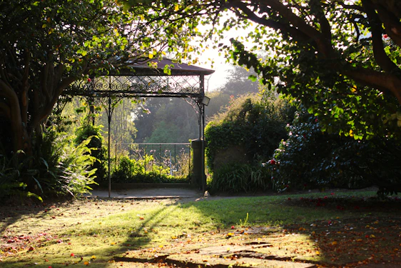 A verdeluxe garden gazebo set up in a lush backyard, showcasing its sturdy frame and elegant design under soft sunlight.