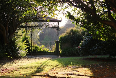 A charming modular gazebo set up in a sunlit garden with climbing vines.