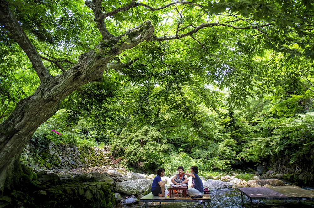 a group of people sitting on a bench in a park