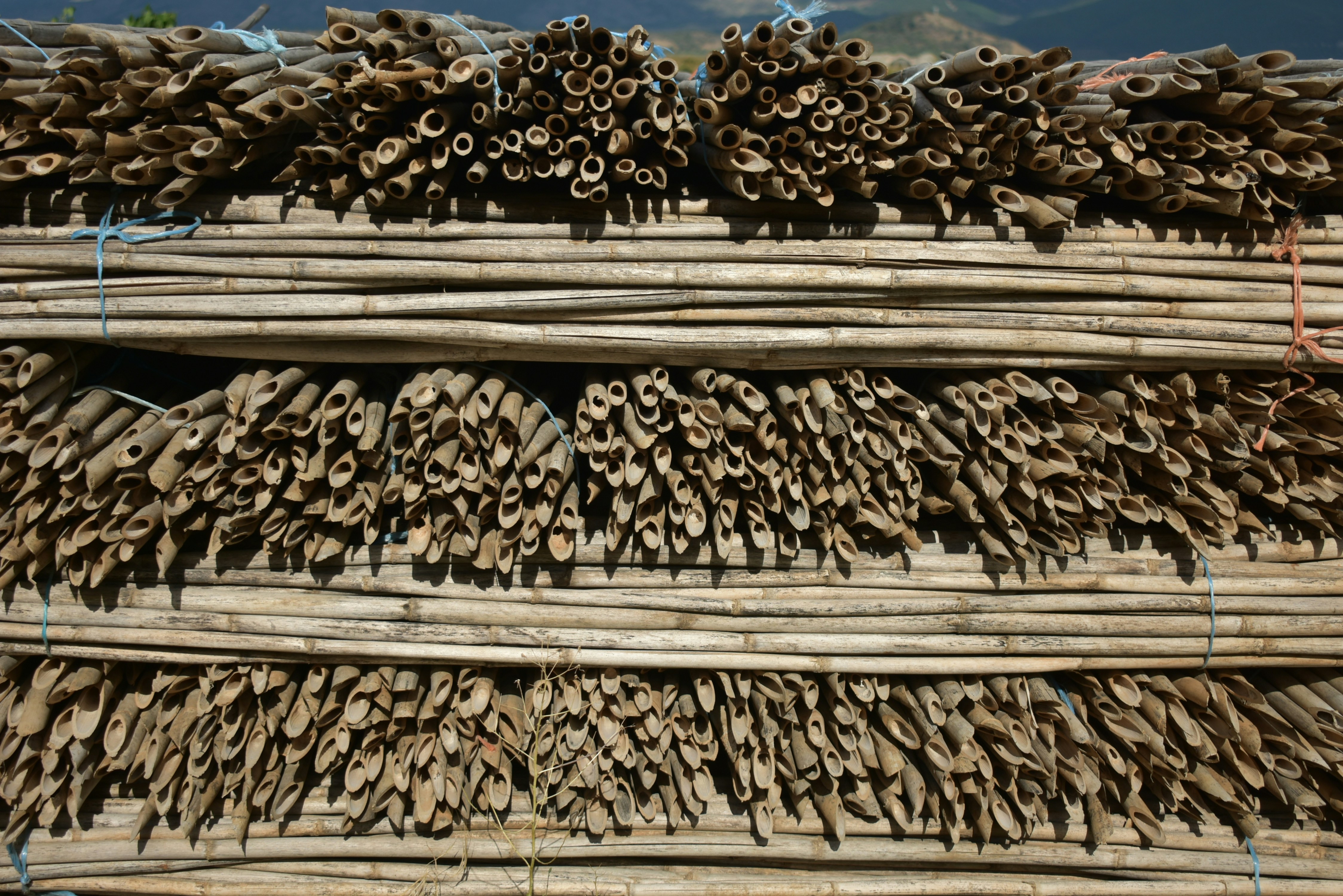 Photo by oxganggreen