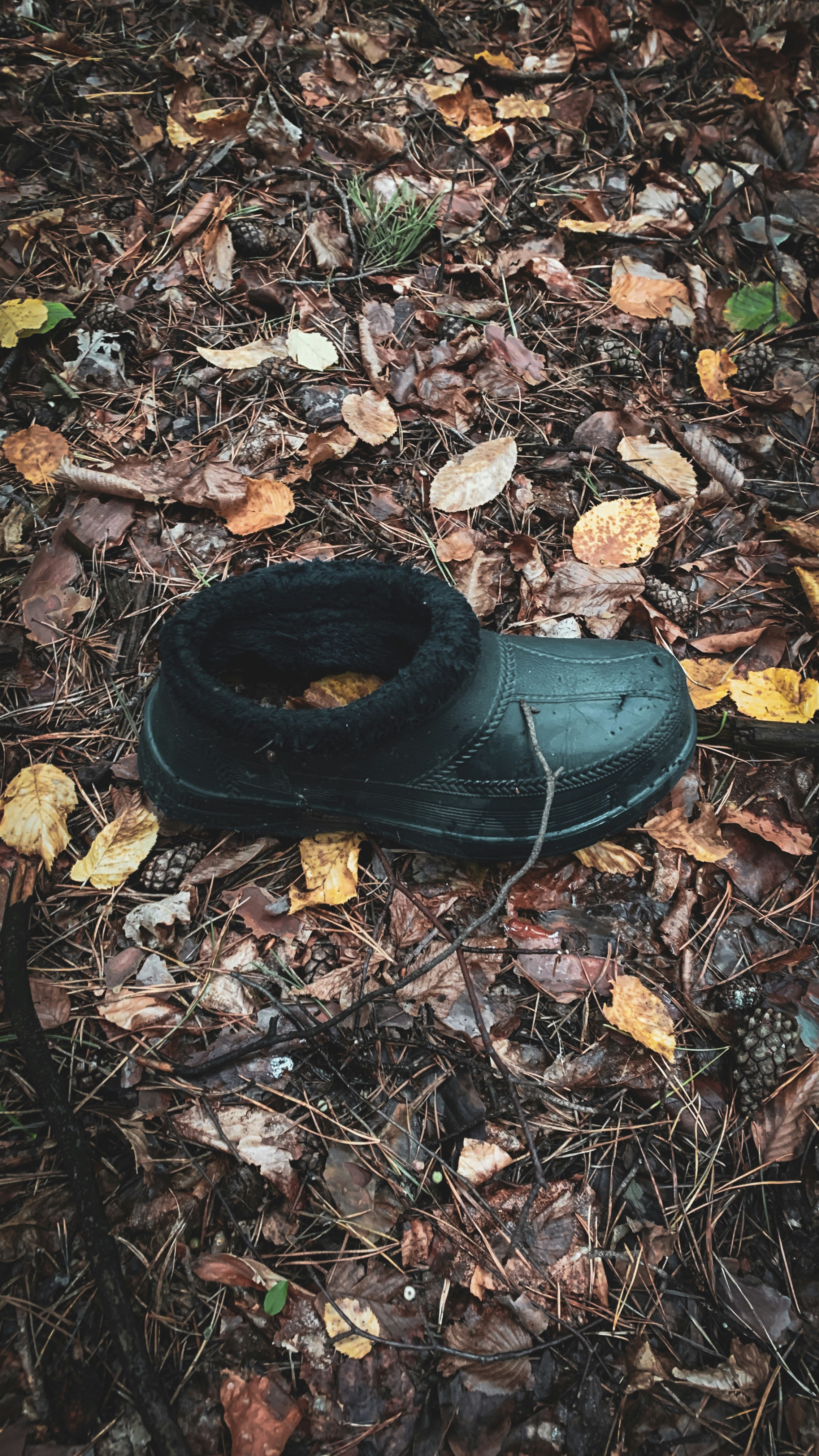 신발을 잃어버리는 꿈이 의미하는 것과 다양한 꿈풀이 해석