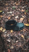 A discarded shoe half-buried in fallen autumn leaves.