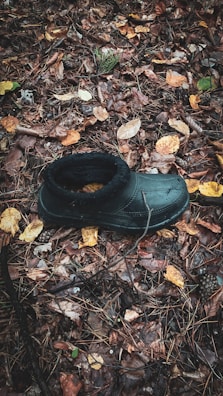 A discarded shoe half-buried in fallen autumn leaves.