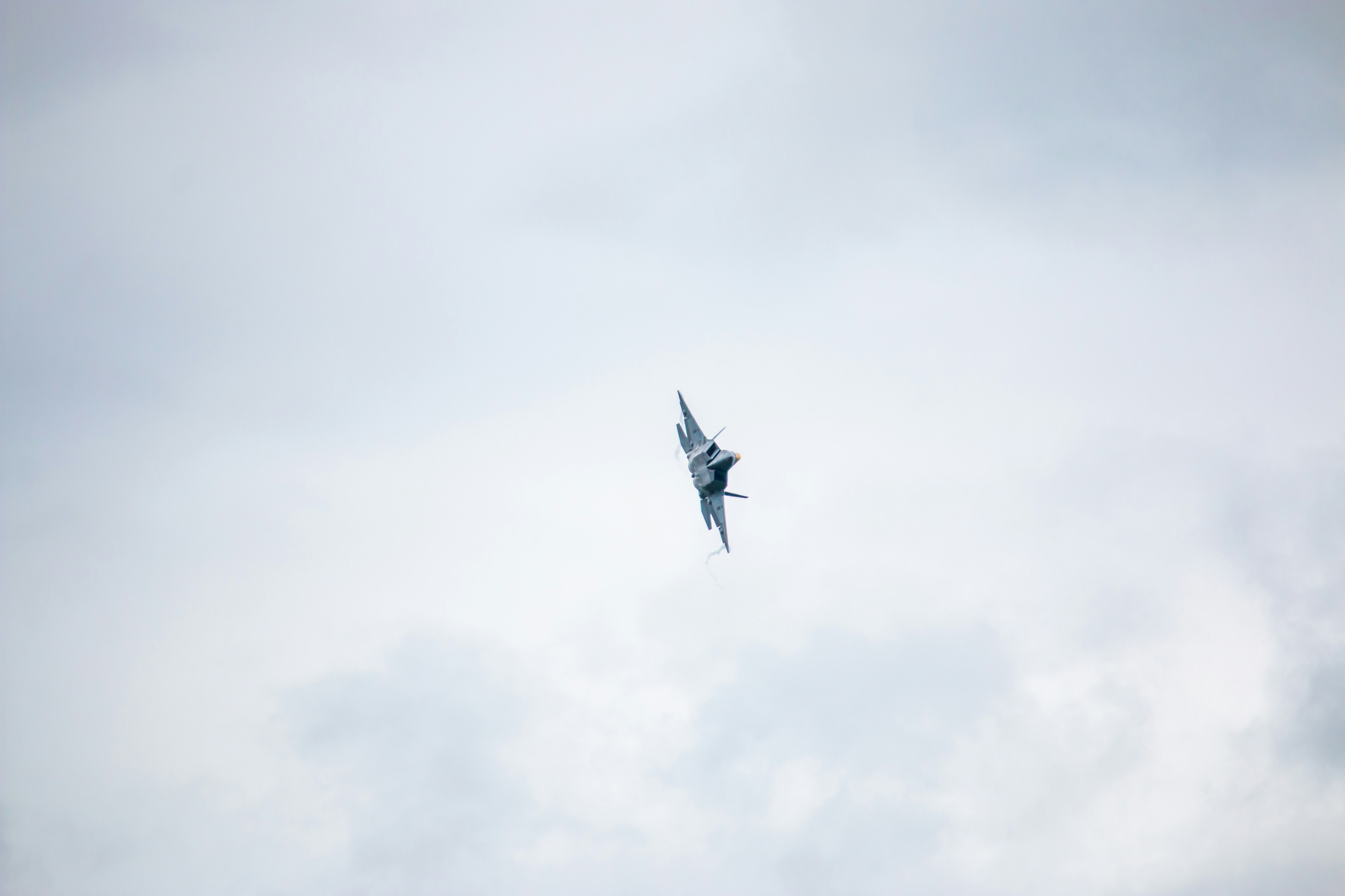 Photo by son_of_media