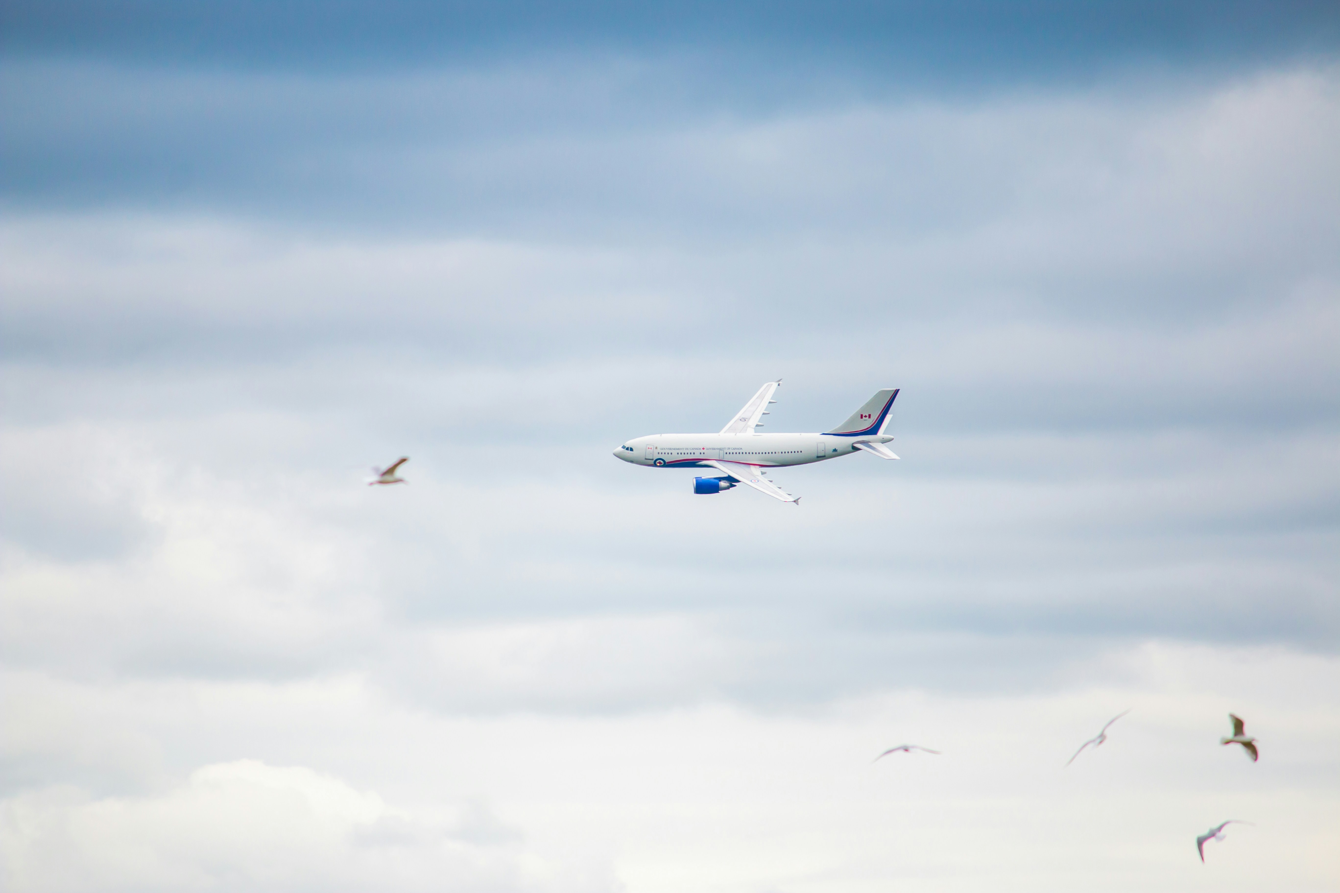 a plane flying in the sky