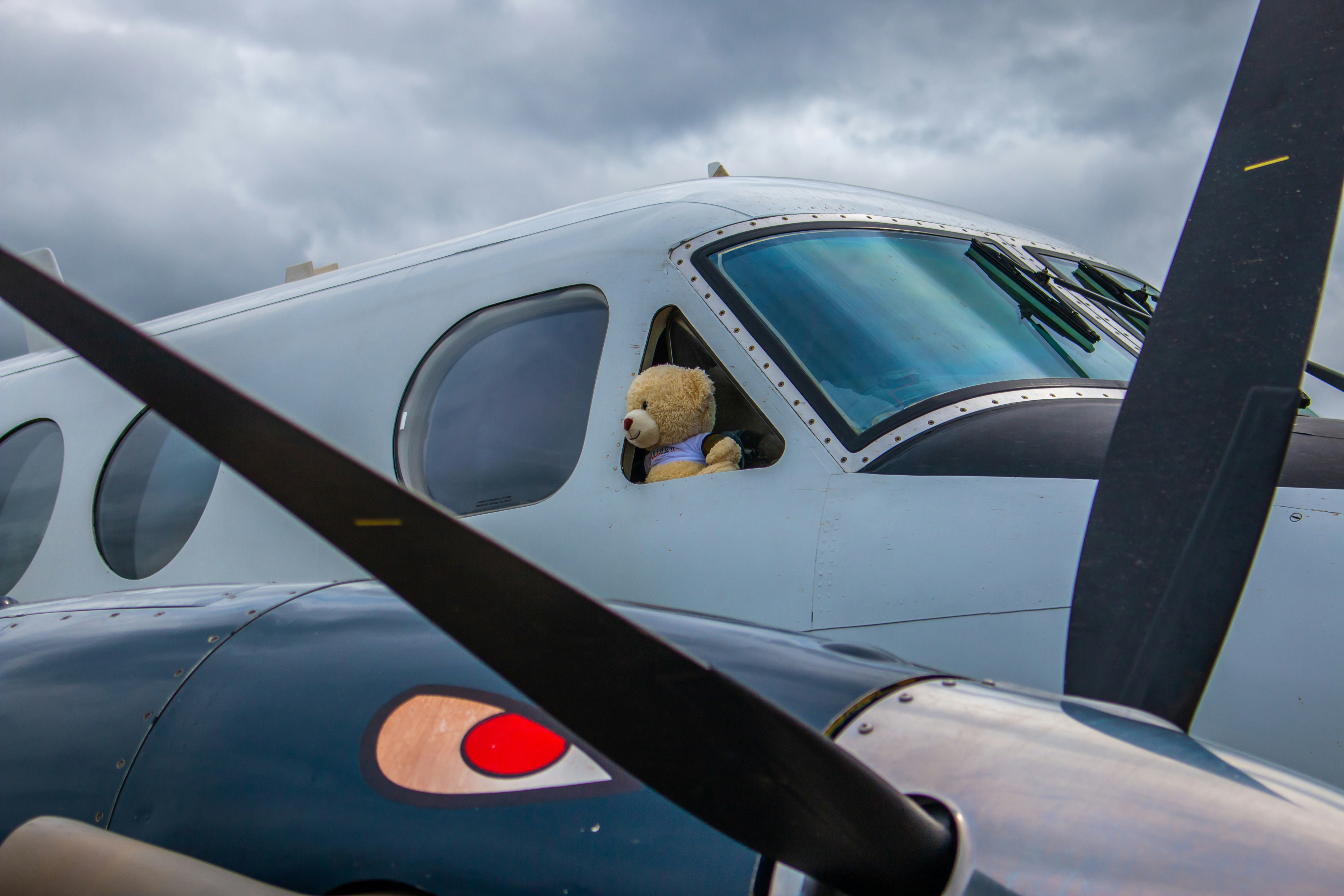 a teddy bear sits in the cockpit of a plane