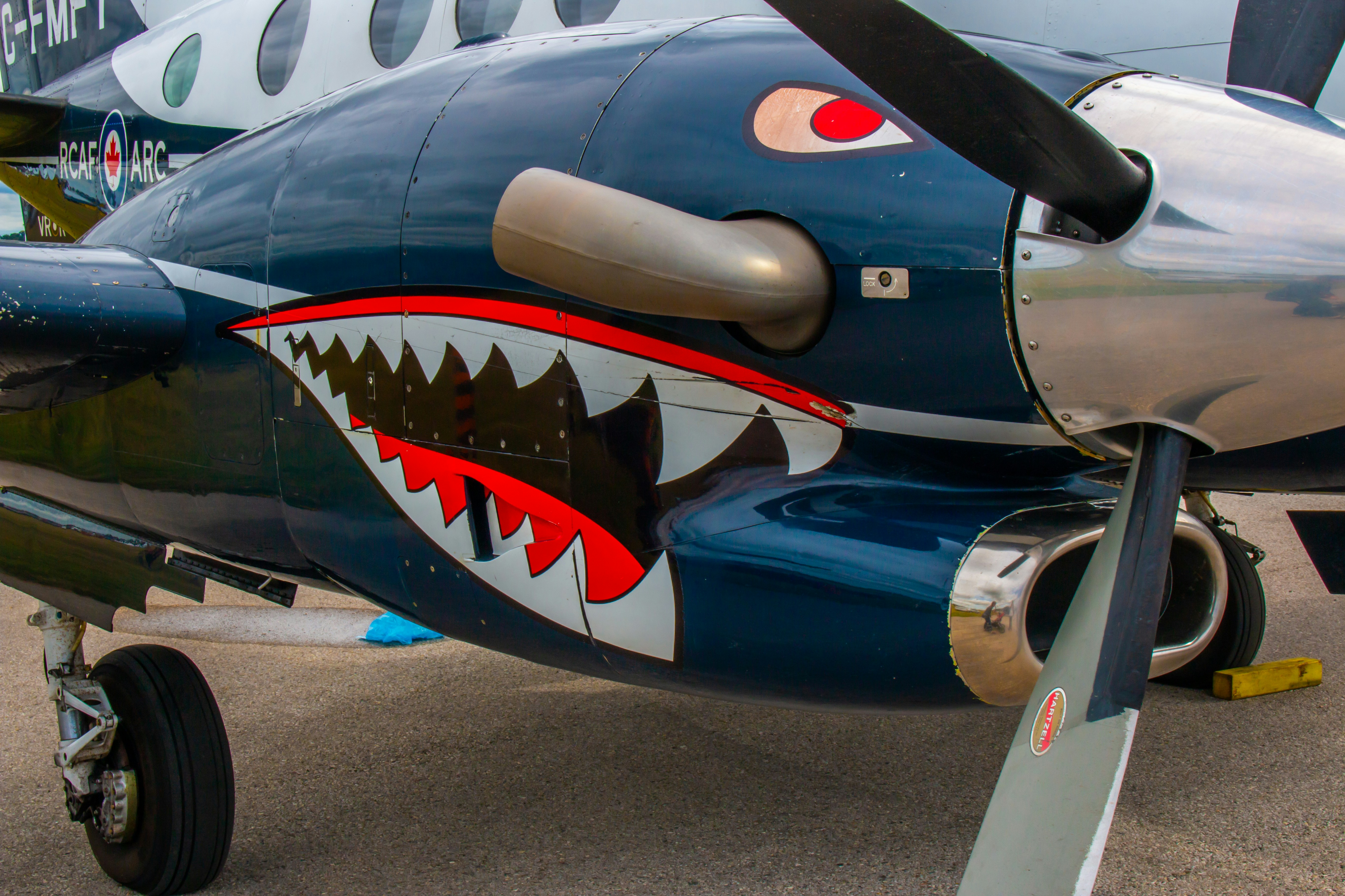 a plane with a painted face