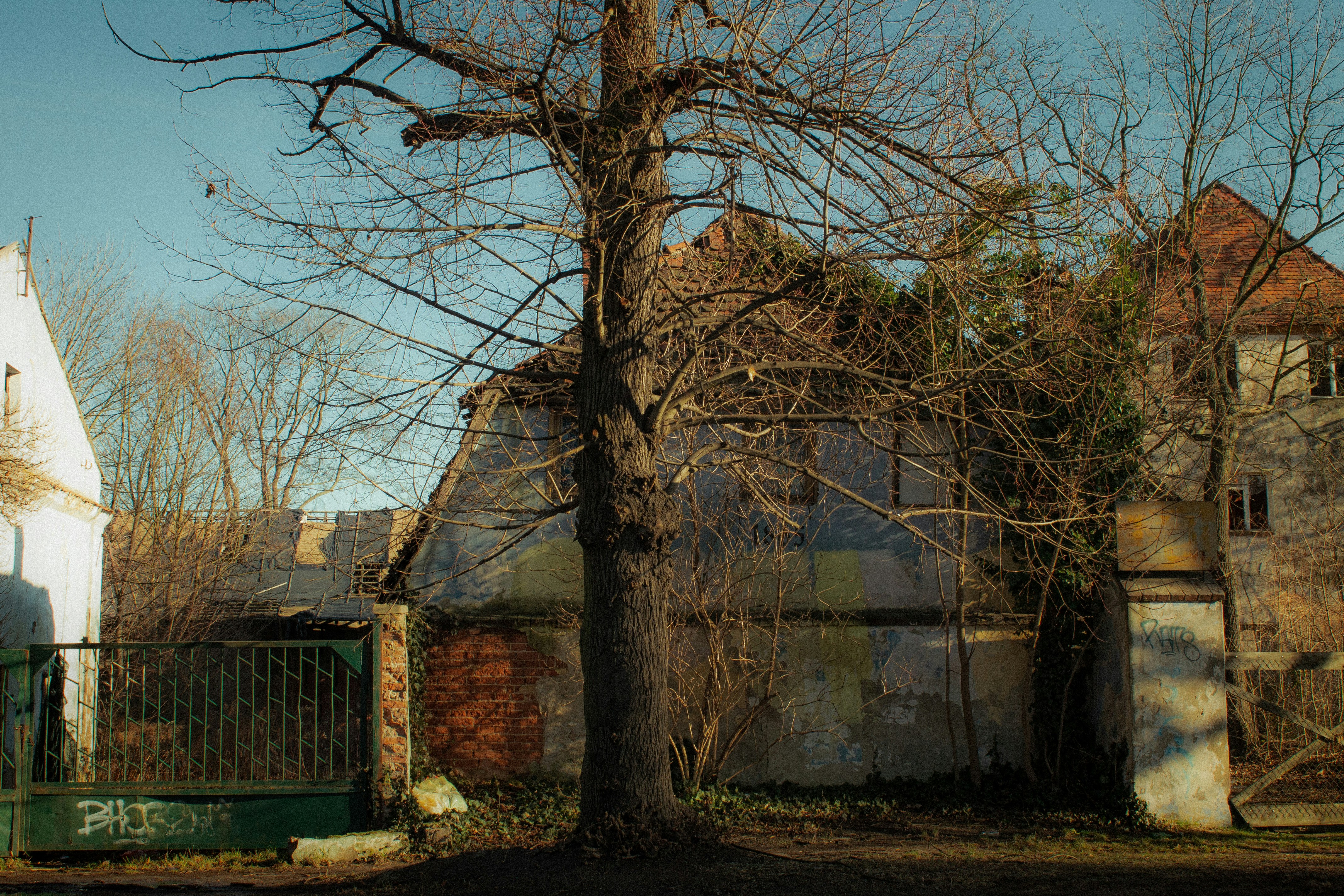 Photo by valeria_klys