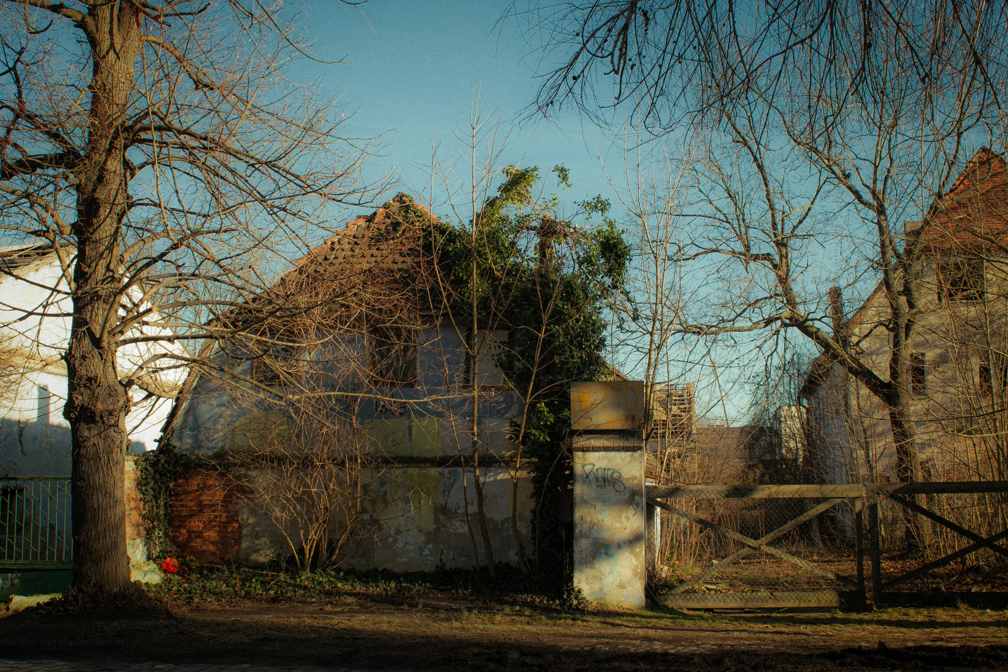 Photo by valeria_klys