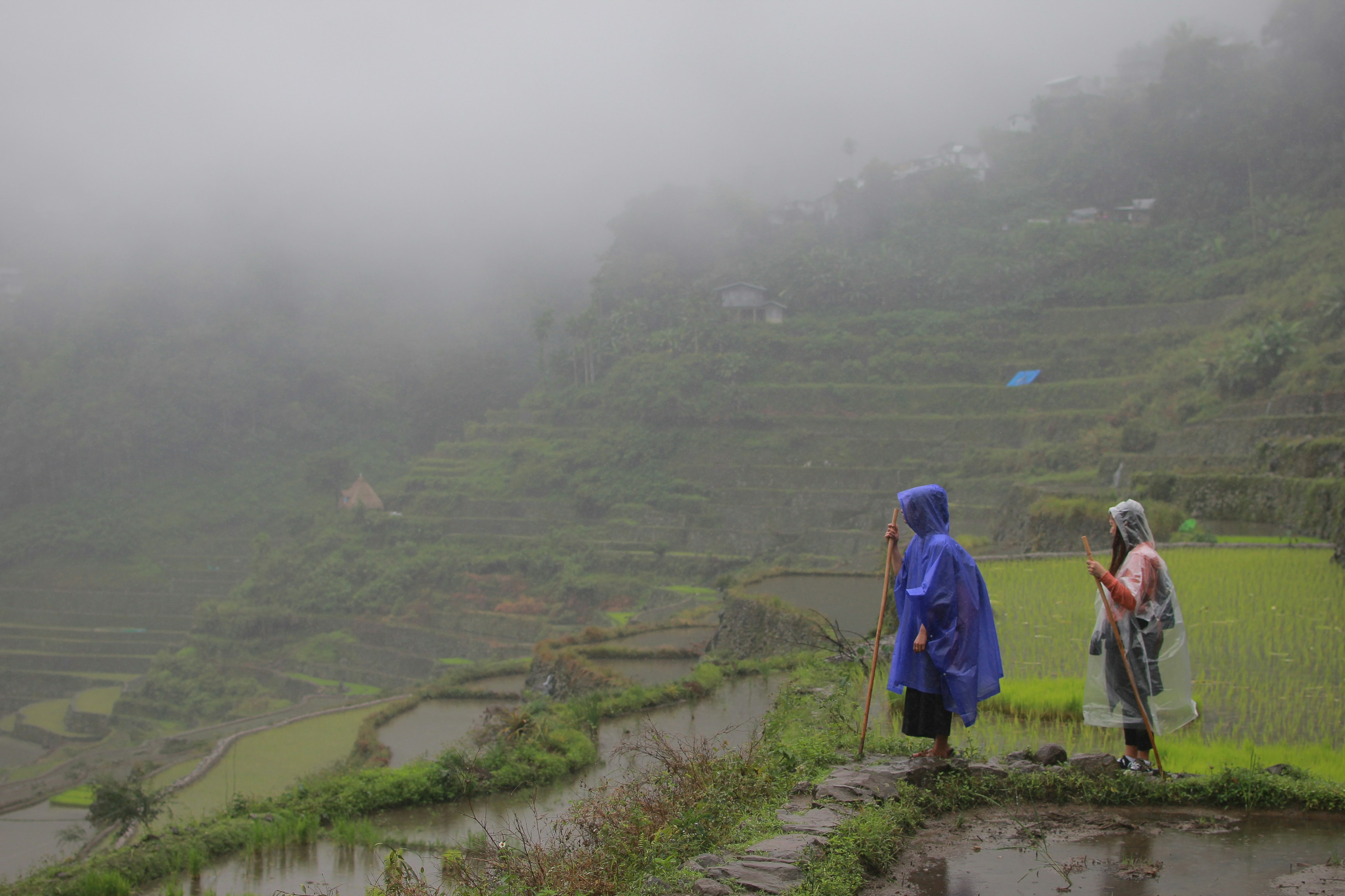 a group of people walking on a path in a foggy field