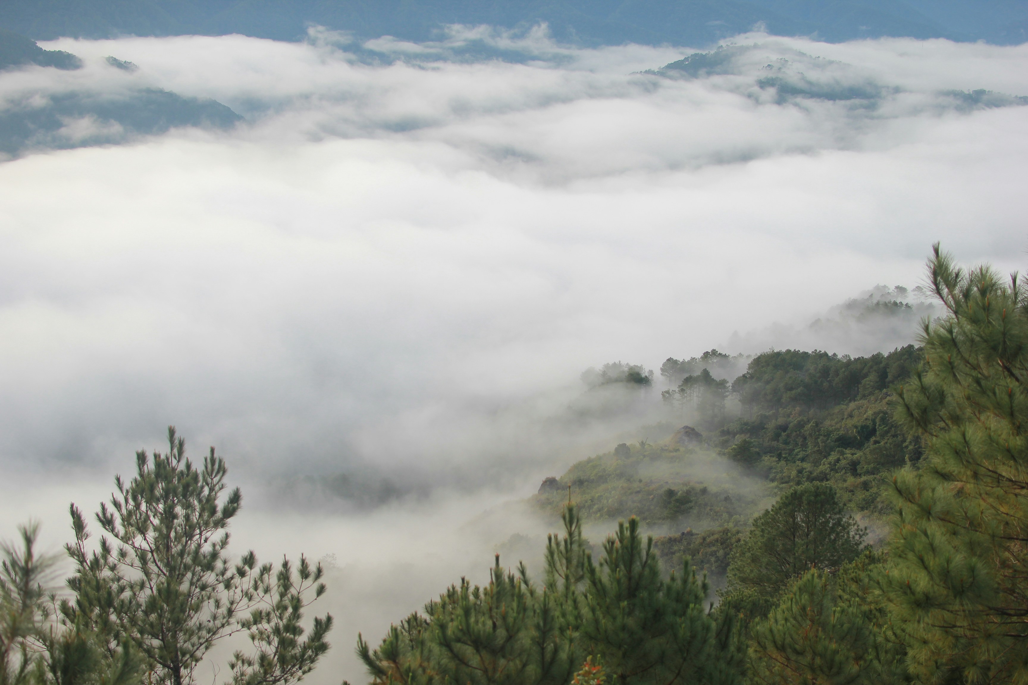 Photo by chazmabunga