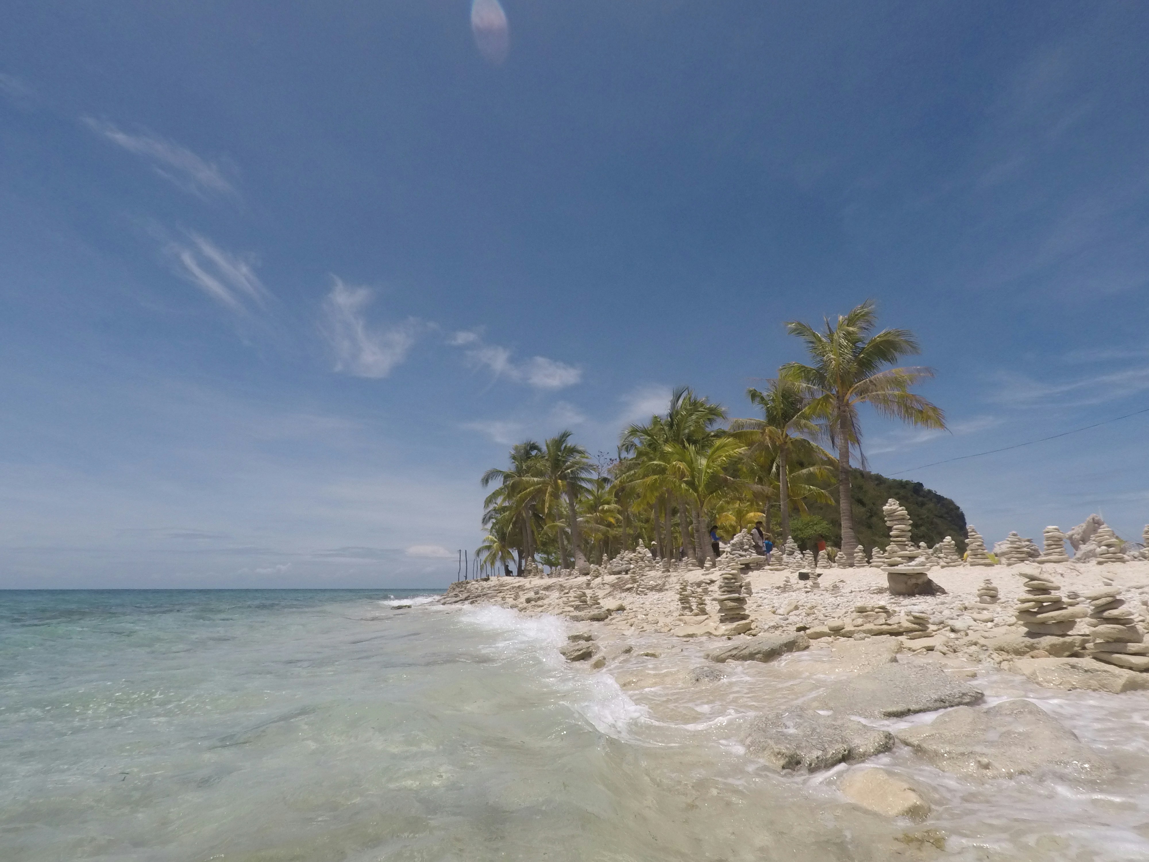a beach with palm trees and blue water
