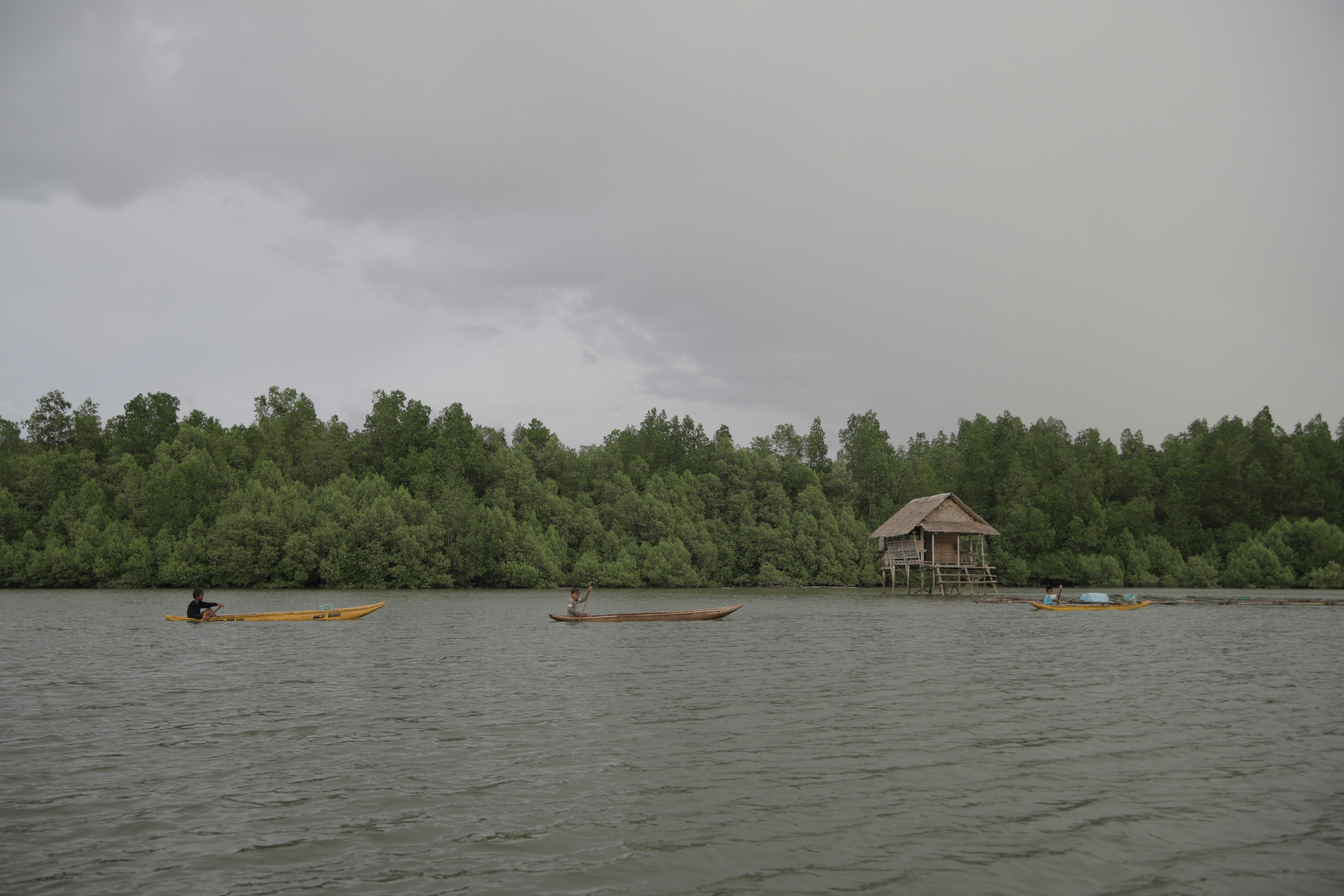 a group of people in canoes on a lake