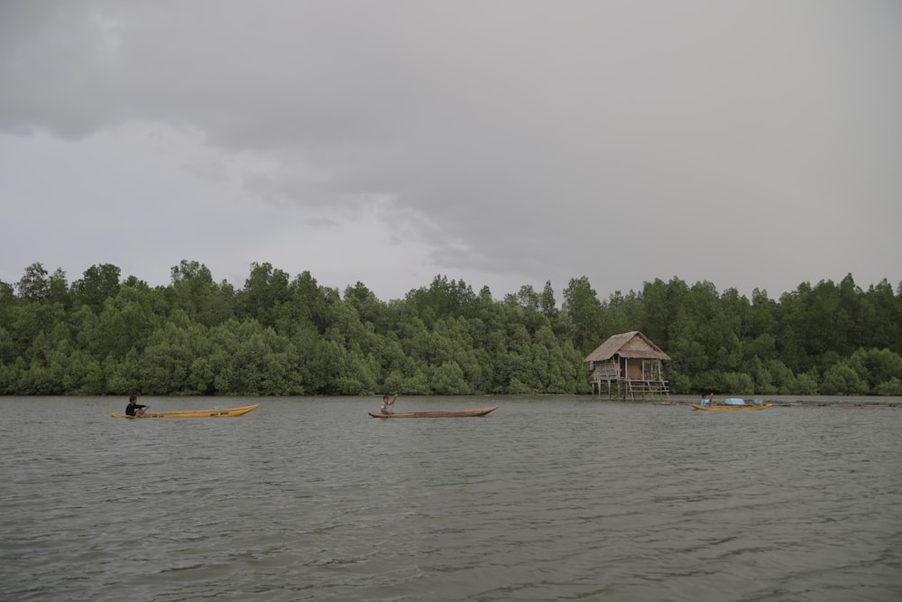 a group of people in canoes on a lake
