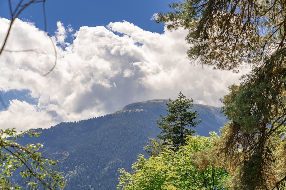 a view of a valley with trees and clouds in the sky