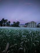A serene prairie landscape under a moonlit sky