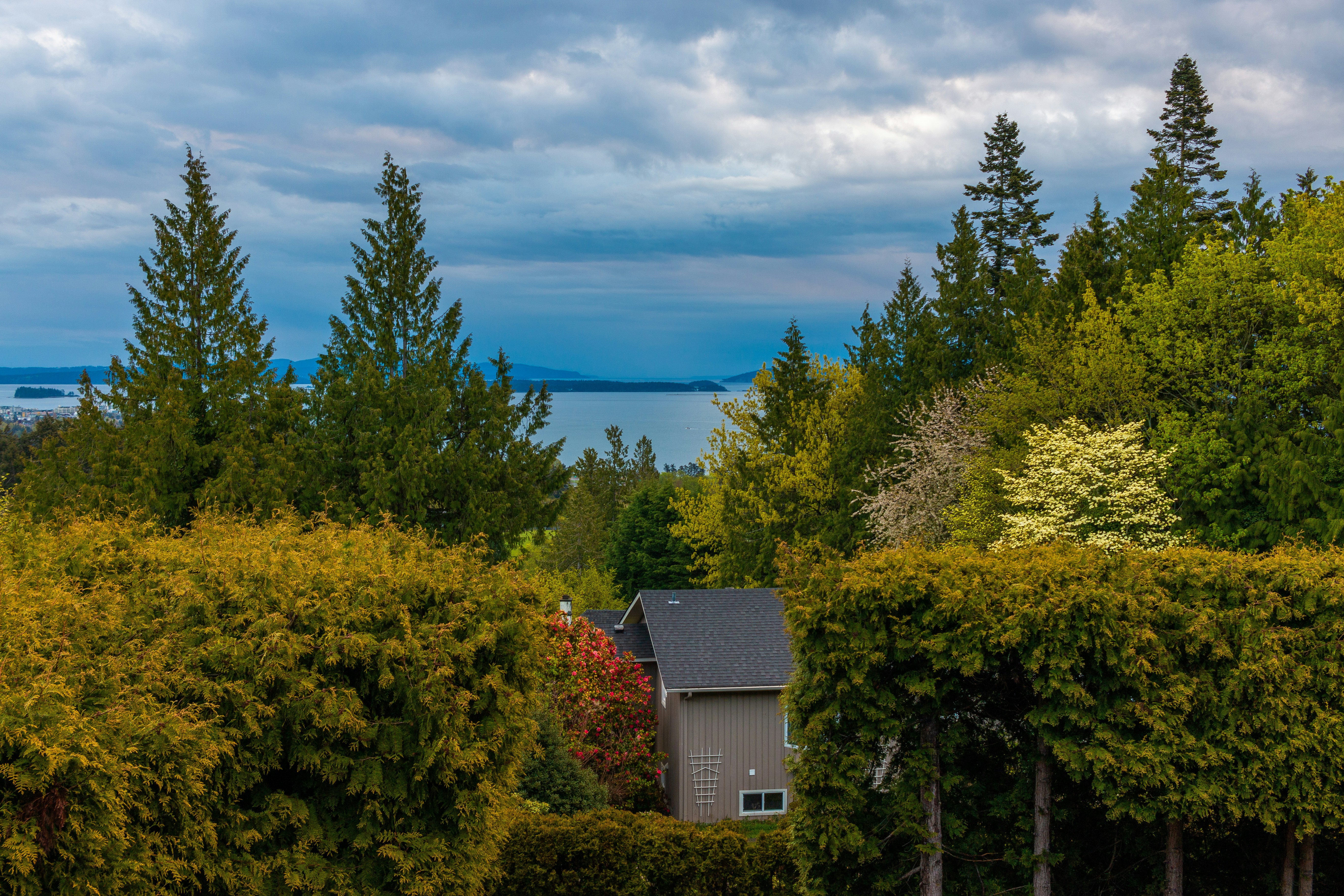 a house surrounded by trees