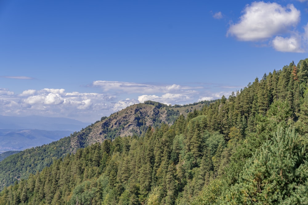 a landscape with trees and mountains in the back