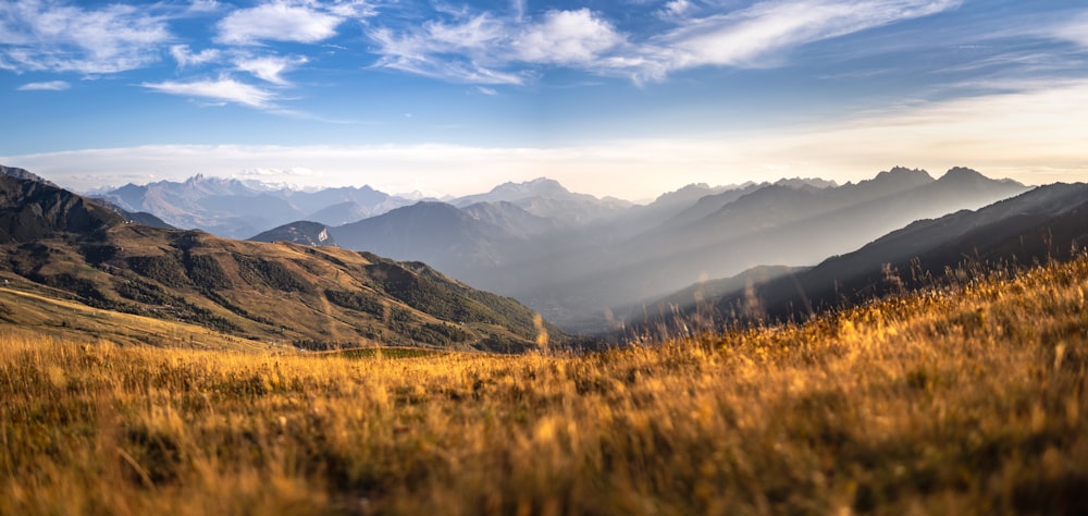 a grassy field with mountains in the background