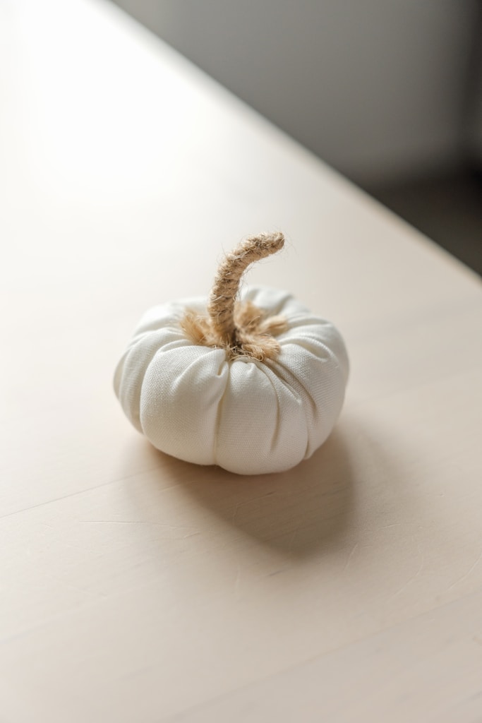 Halloween Sewing Project