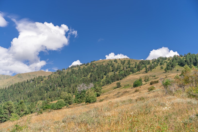 A scenic view of a spacious plot of land in Sabya with clear skies.
